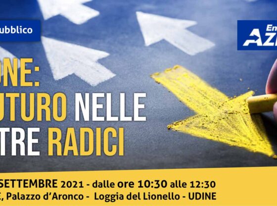 Convegno Sala Ajace Udine